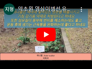 동영상04